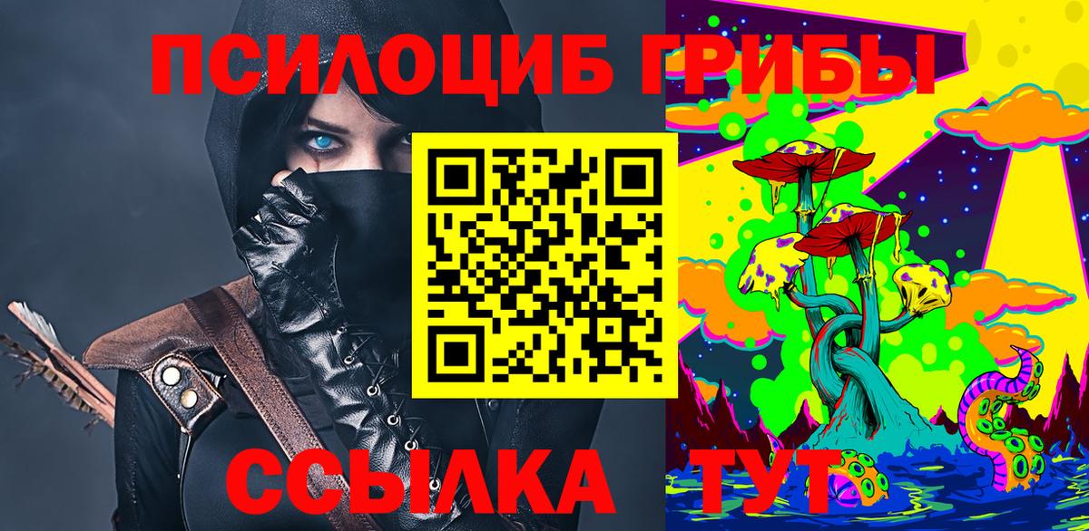 Псилоцибиновые грибы Psilocybine cubensis Электрогорск