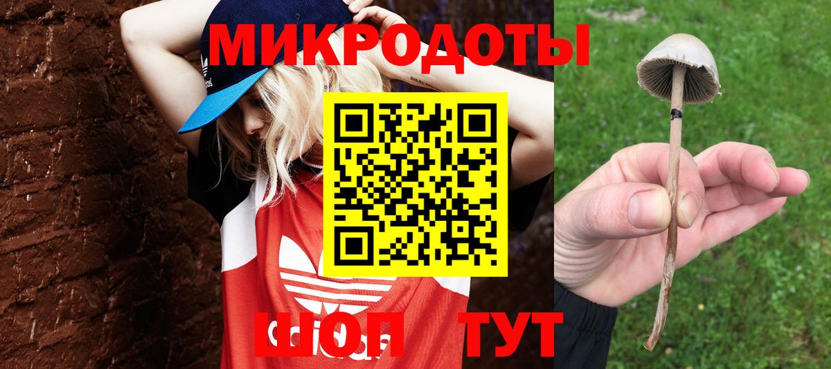 Электрогорск  купить наркотики цена  Вход с VPN  Галлюциногенные грибы Psilocybine cubensis 