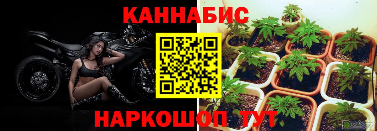 Марихуана индика Электрогорск