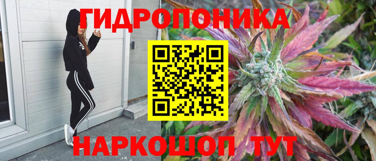 Электрогорск  Конопля Amnesia  Вход с VPN  Каннабис AK-47  Конопля VHQ 